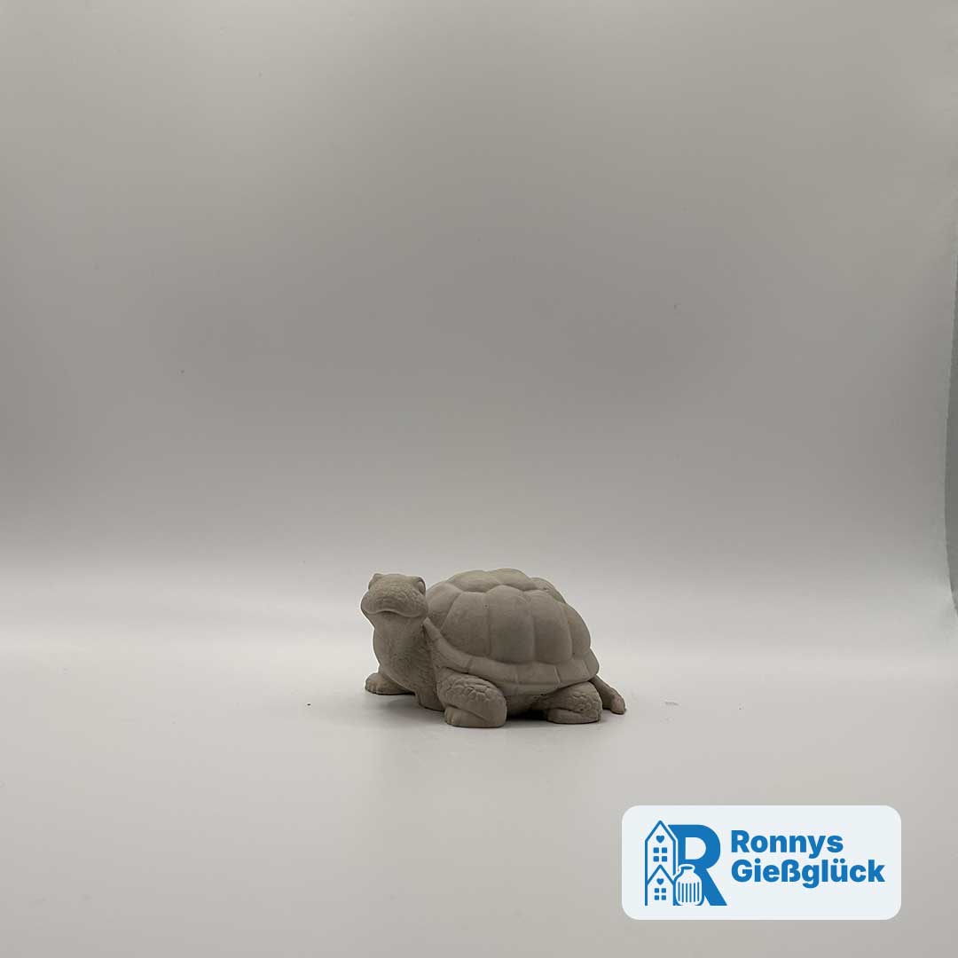Schildkröte Erika Grau – handgefertigte Beton Deko Kleine Schildkröte aus grauem Beton – Dekofigur Erika